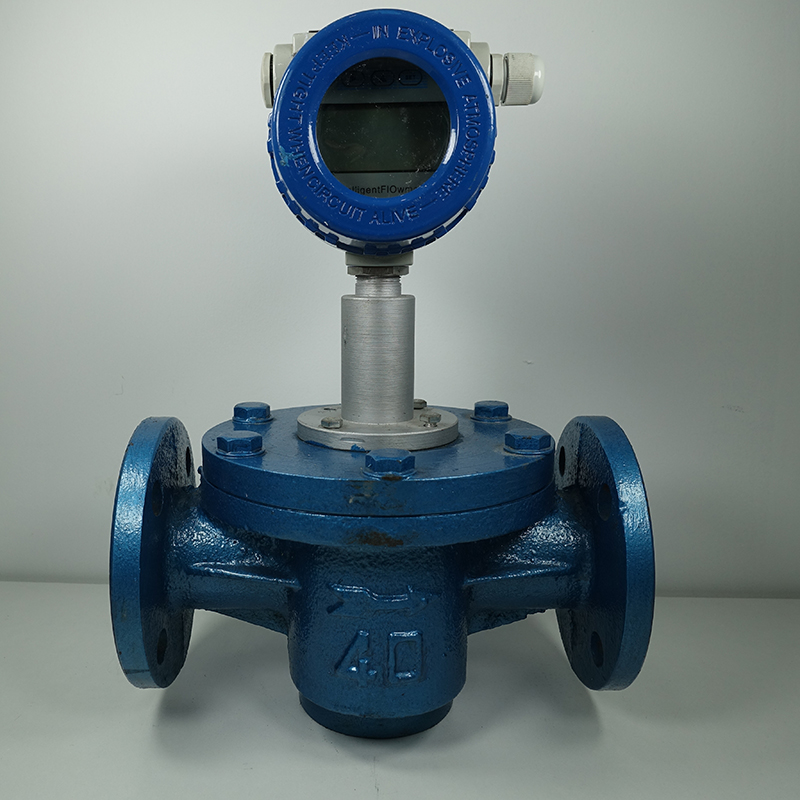 1764904973472682.jpg 椭圆齿轮流量计适用于哪些液体流量