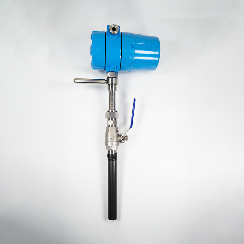 1772085827180804.jpg 热式质量流量计的主要特点是什么